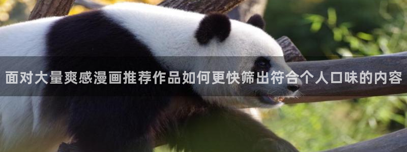 樱花日语免费课程